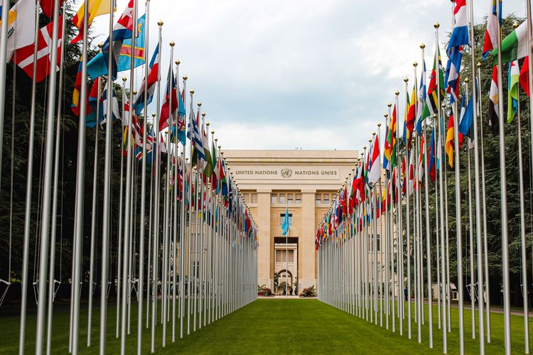 UN one step closer to establishing global carbon market