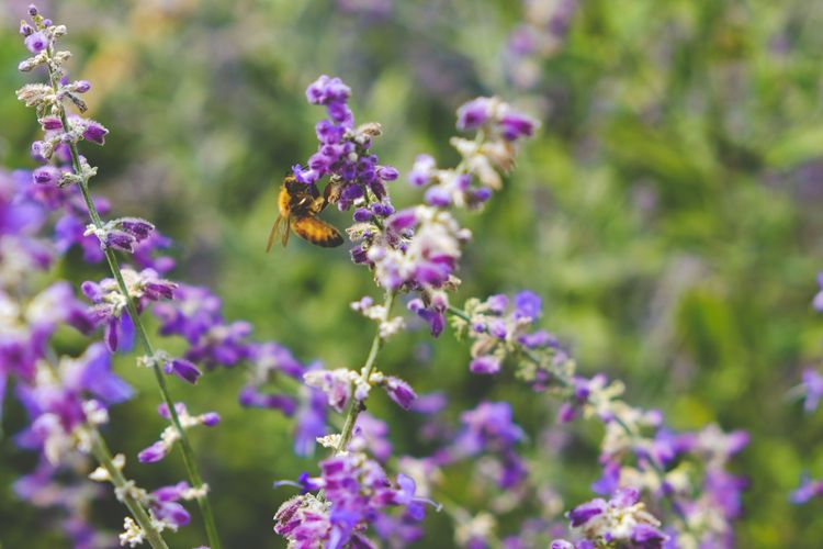 Nature-related disclosures: more work needed to define materiality and financial impacts