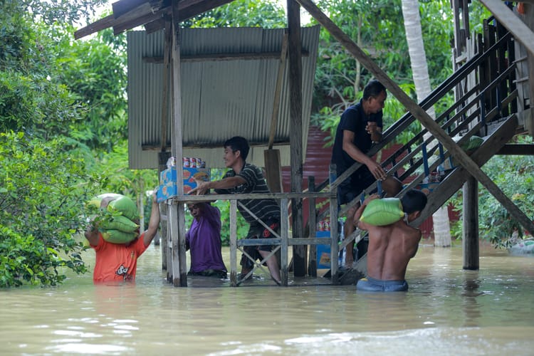 Investing in climate adaptation pays off – at a 15:1 ratio