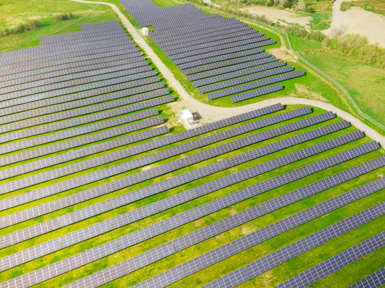 World’s most sustainable companies invest three times more than average into green activities – and it pays off