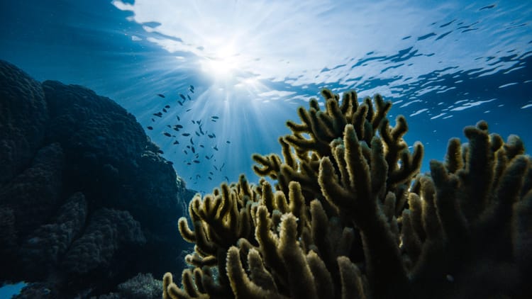 Nature-related disclosures adopted by 320 firms worth US$4 trillion