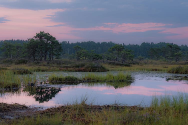 EU Parliament adopts Nature Restoration Law