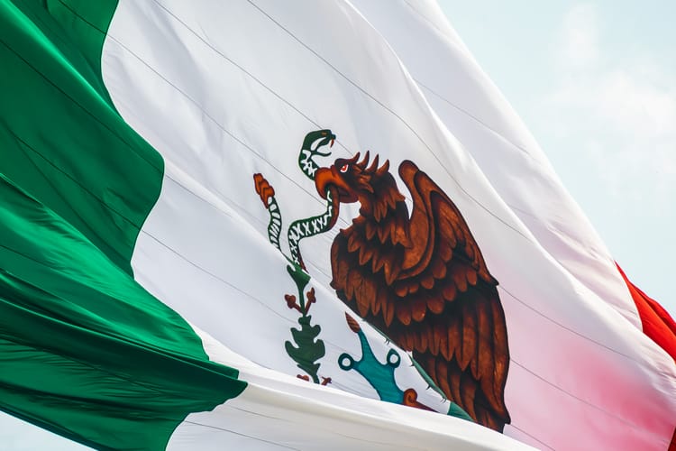 Incoming Mexican president taps renewables expert as secretary of energy
