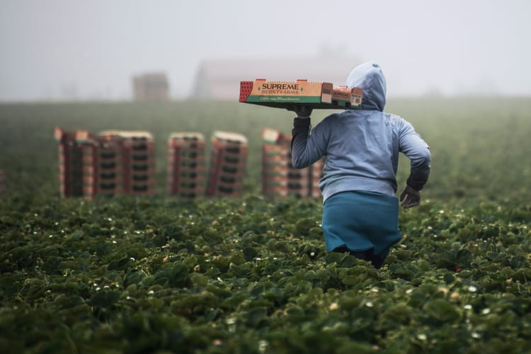 Food-related sustainable development goals top list of off-track SDGs