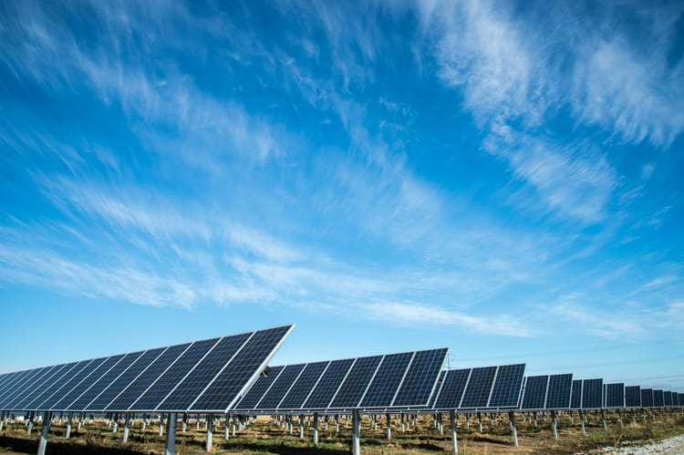 German 2025 budget includes 'record investment' in renewables, says Scholz