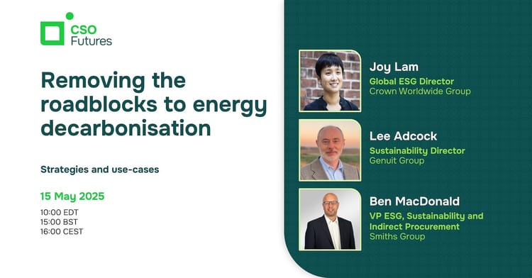 Removing the roadblocks to energy decarbonisation