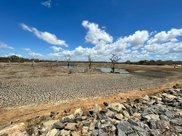 Kering launches water resilience strategy