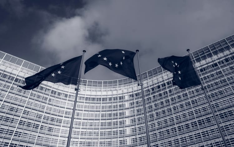 EU Council unveils draft position on CSRD and CSDDD revision