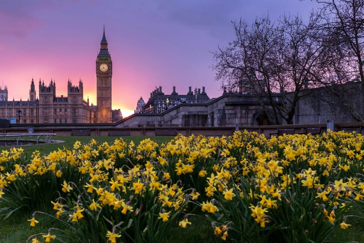 UK launches carbon market consultation as part of green finance ambitions