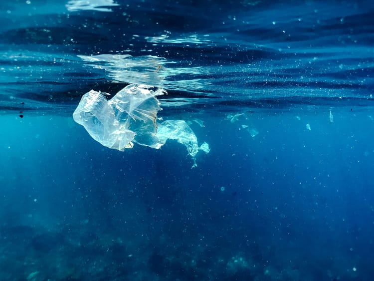 Clorox fined US$5.2mn for misleading consumers on origin of recycled plastics