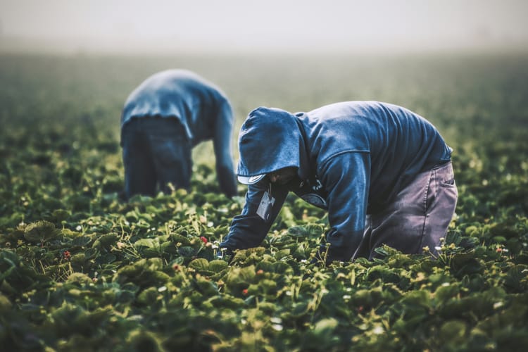 Food industry whistleblowers alert investors on climate risks