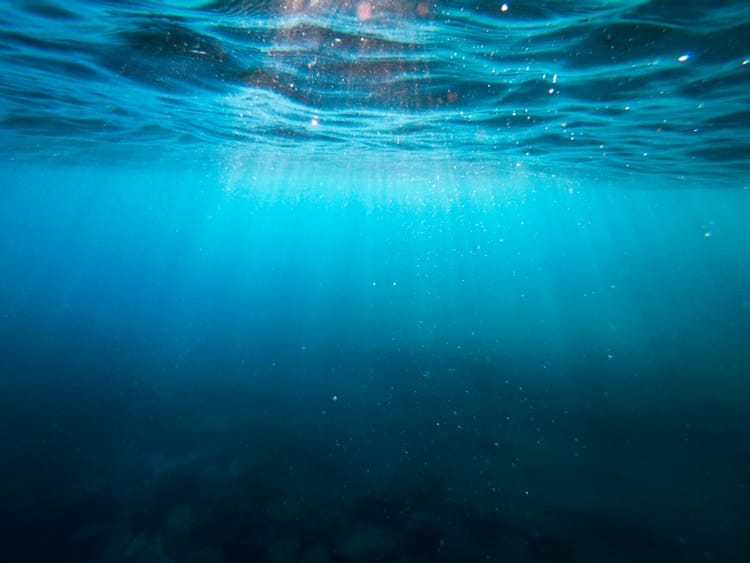 TNFD shares final disclosure guidelines for maritime industry as world leaders gather for oceans