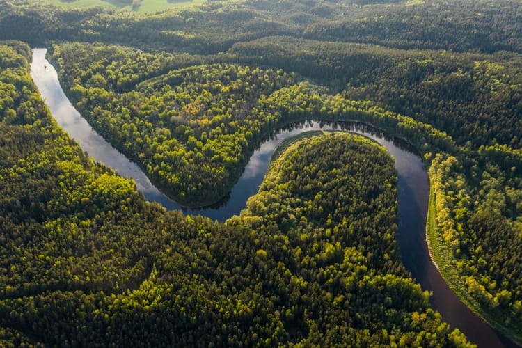 Brazil seeks to cancel US$180mn carbon credit agreement with LEAF Coalition