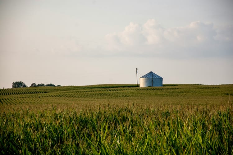 PepsiCo and Cargill team up with local NGO for US-focused regenerative corn programme
