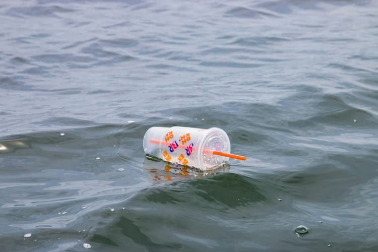 Global Plastics Treaty collapse: ‘fragmented’ transition ahead