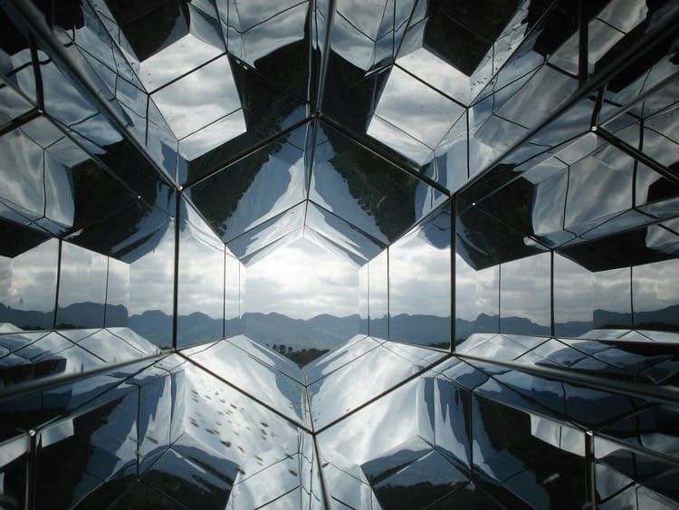 What will the voluntary carbon market look like in 2028 – and how can CSOs prepare?
