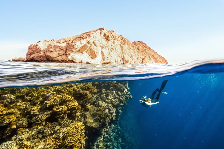 Coalition launches to scale up marine carbon dioxide removals
