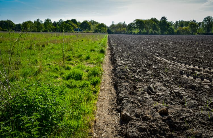 PepsiCo, Unilever and others launch collaboration to scale up regenerative agriculture