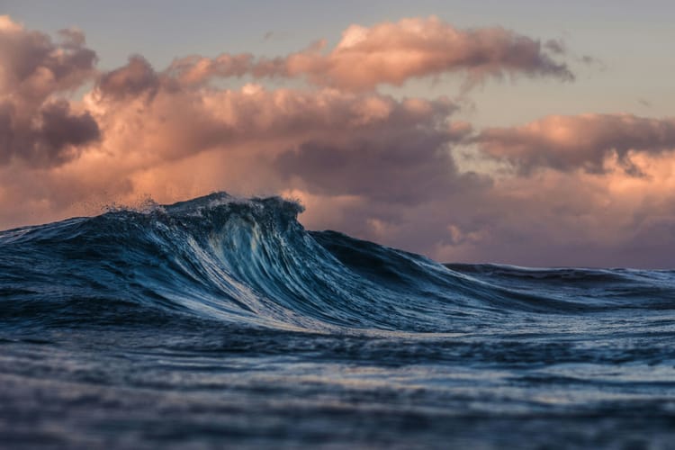 High Seas Treaty ratified, will come into force next year