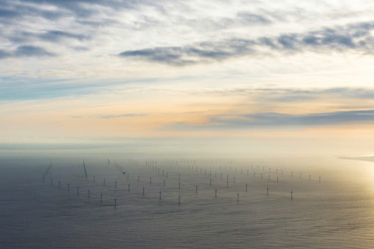 The Crown Estate announces sector-specific decarbonisation plans