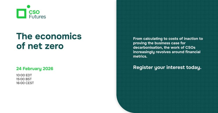 The economics of net zero