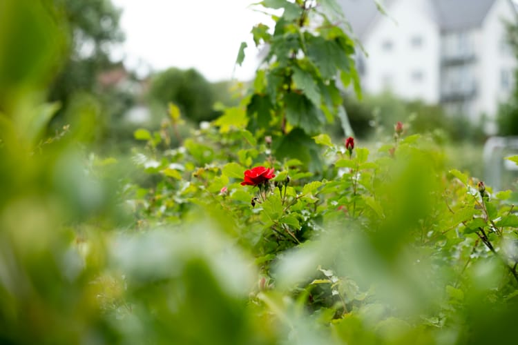 Report highlights financial value unlocked by companies embedding climate and nature