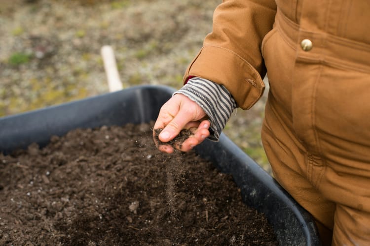 Microsoft inks large deal with soil carbon credit firm Indigo