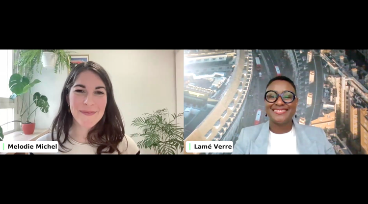 On value preservation and how to eat an elephant: Watch CSO Futures' webinar on the economics of net zero