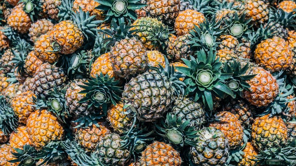 Fresh del Monte sustainability report: scope 3 emissions increase