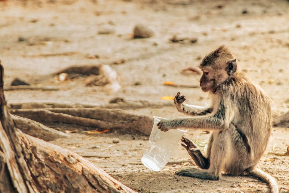 Nature-related risks are an increasing focus for investors