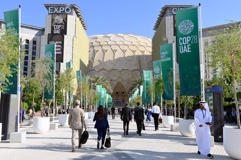 COP28 seen by Chief Sustainability Officers