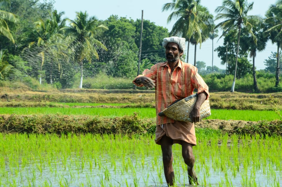 COP28 food systems sustainability