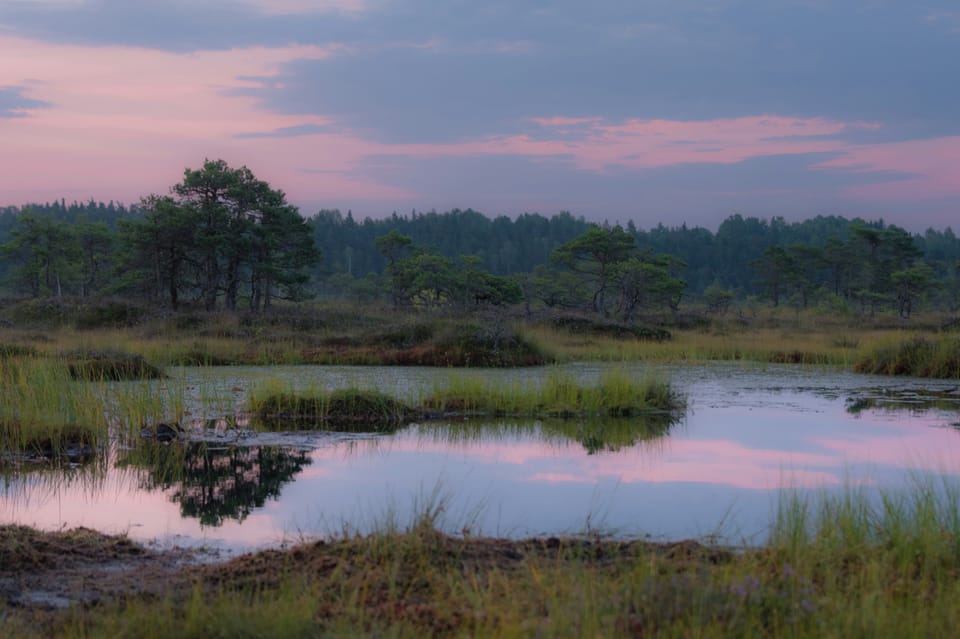 EU Parliament adopts Nature Restoration Law