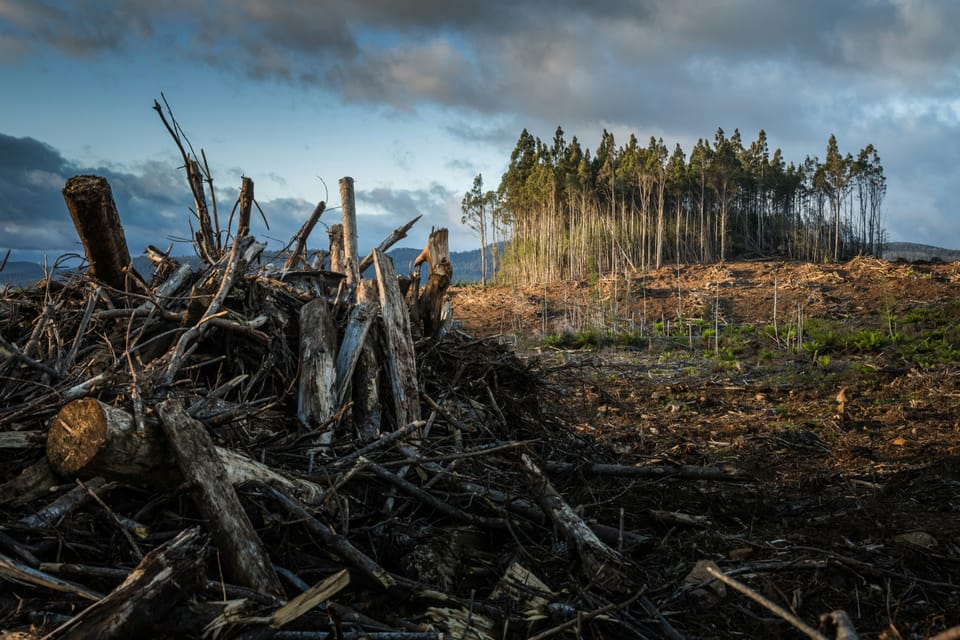 JBS and X among 284 companies that failed to meet science-based target-setting commitment