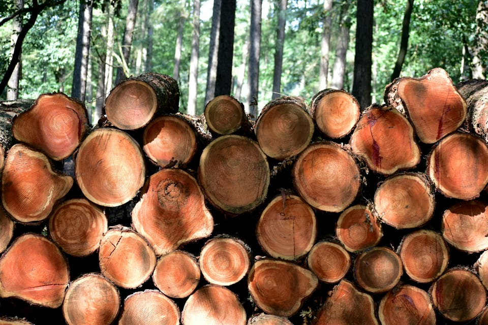 Kering, GSK, Holcim: first adopters of science-based targets for nature