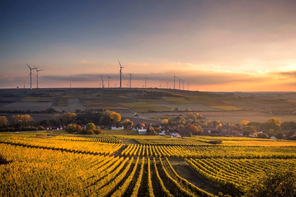 Emissions covered by EU ETS down by 50% since 2005
