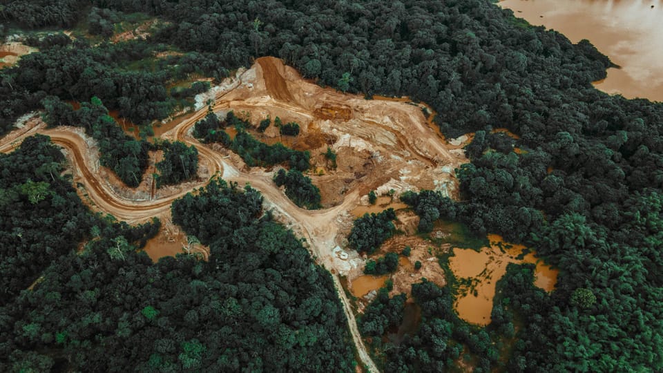 Nestlé, Unilever and Danone stand out as leaders in the fight against deforestation