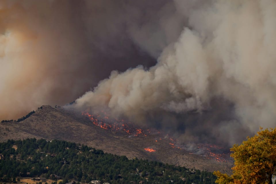 Experts sound ‘global red alert’ as fires trigger record-high forest loss