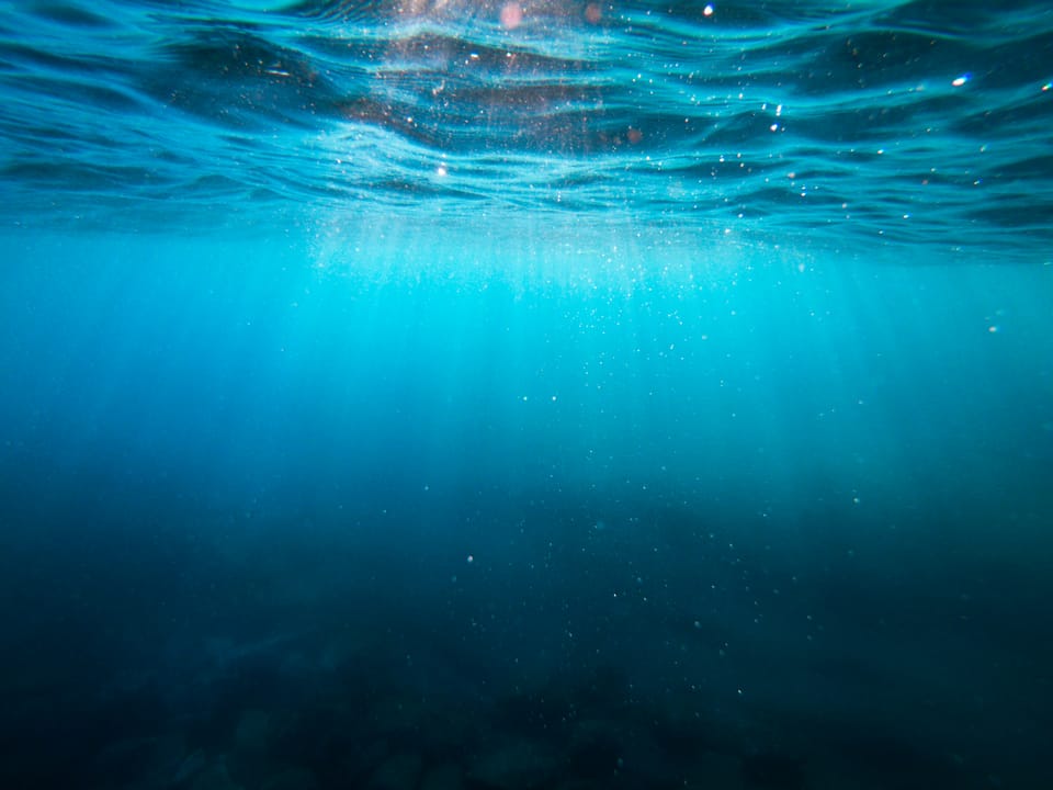 TNFD shares final disclosure guidelines for maritime industry as world leaders gather for oceans