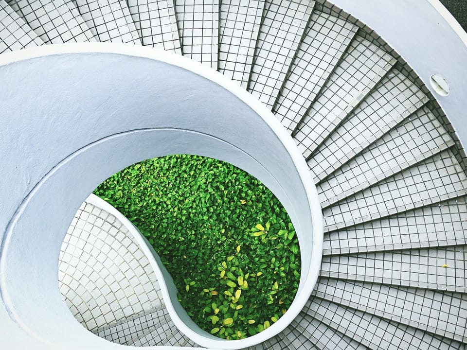 Circularity, supplier engagement and the ‘elephant in the room’ of sustainable procurement