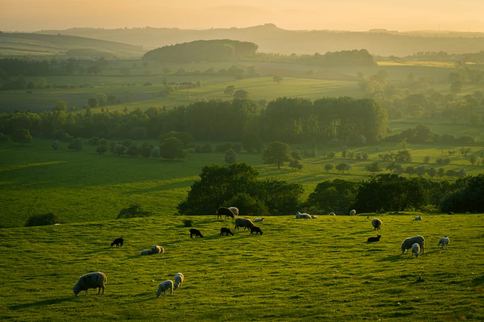 Nature-positive transition pathways ‘critical’ for private sector nature investment
