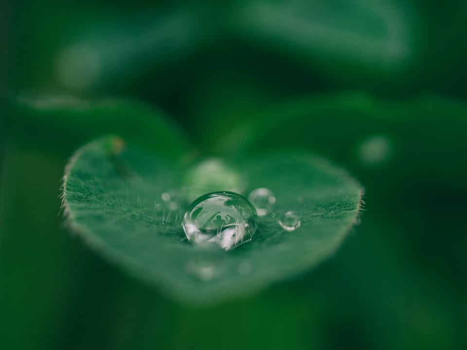 TNFD nature disclosures adopted by 620 organisations