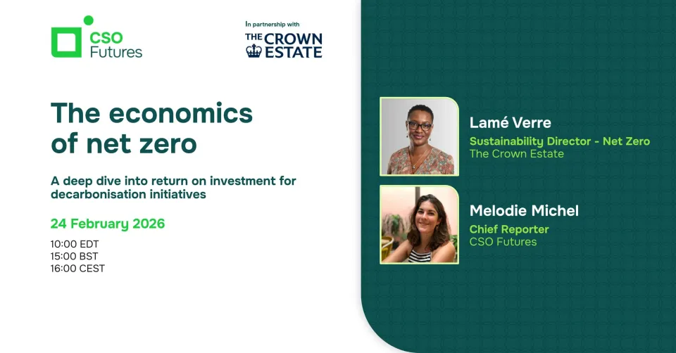 The economics of net zero