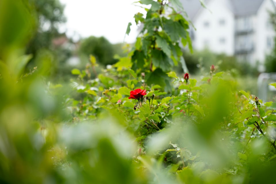 Report highlights financial value unlocked by companies embedding climate and nature