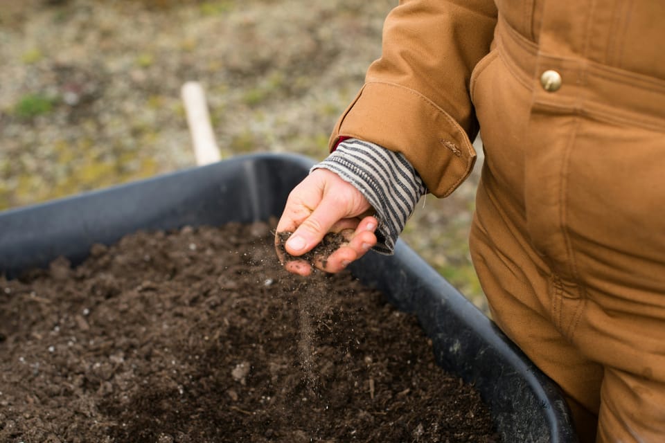 Microsoft inks large deal with soil carbon credit firm Indigo