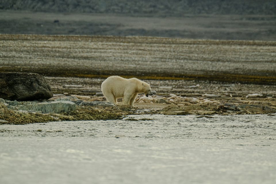 ‘Climate chaos is accelerating’: WMO report warns of growing interconnected climate impacts